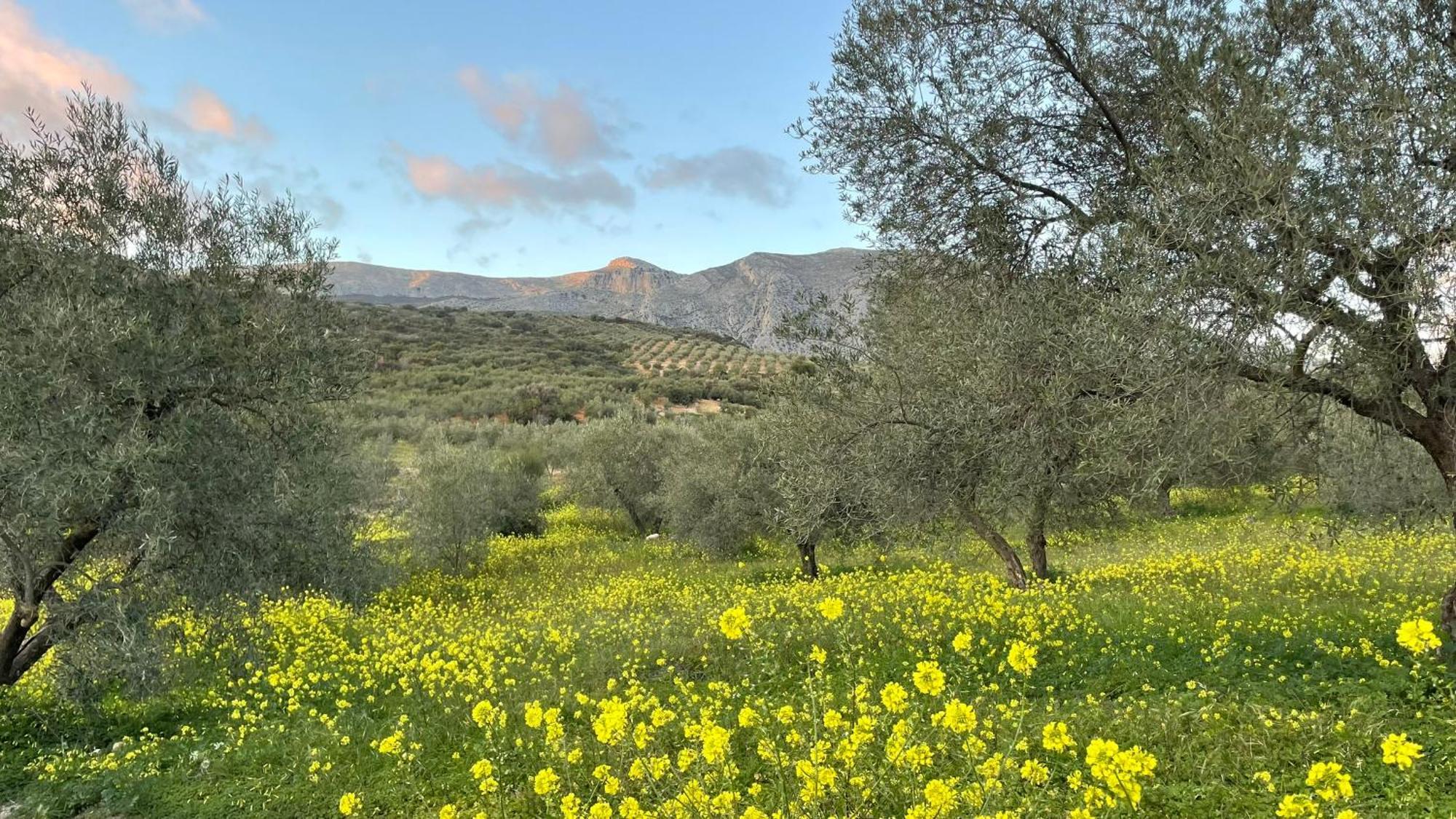 Bed and Breakfast Finca Valle Verde Alora Exterior foto