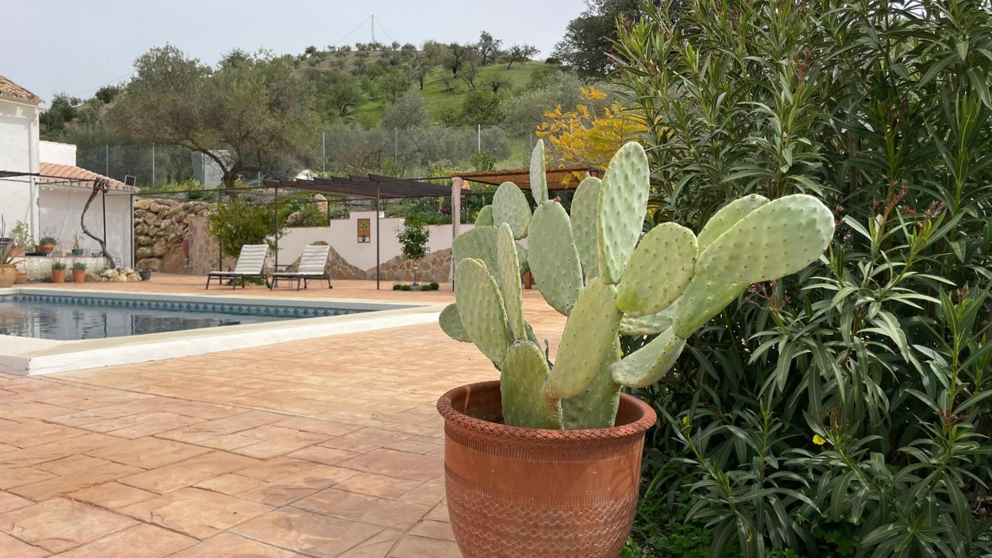 Finca Valle Verde Alora Exterior foto