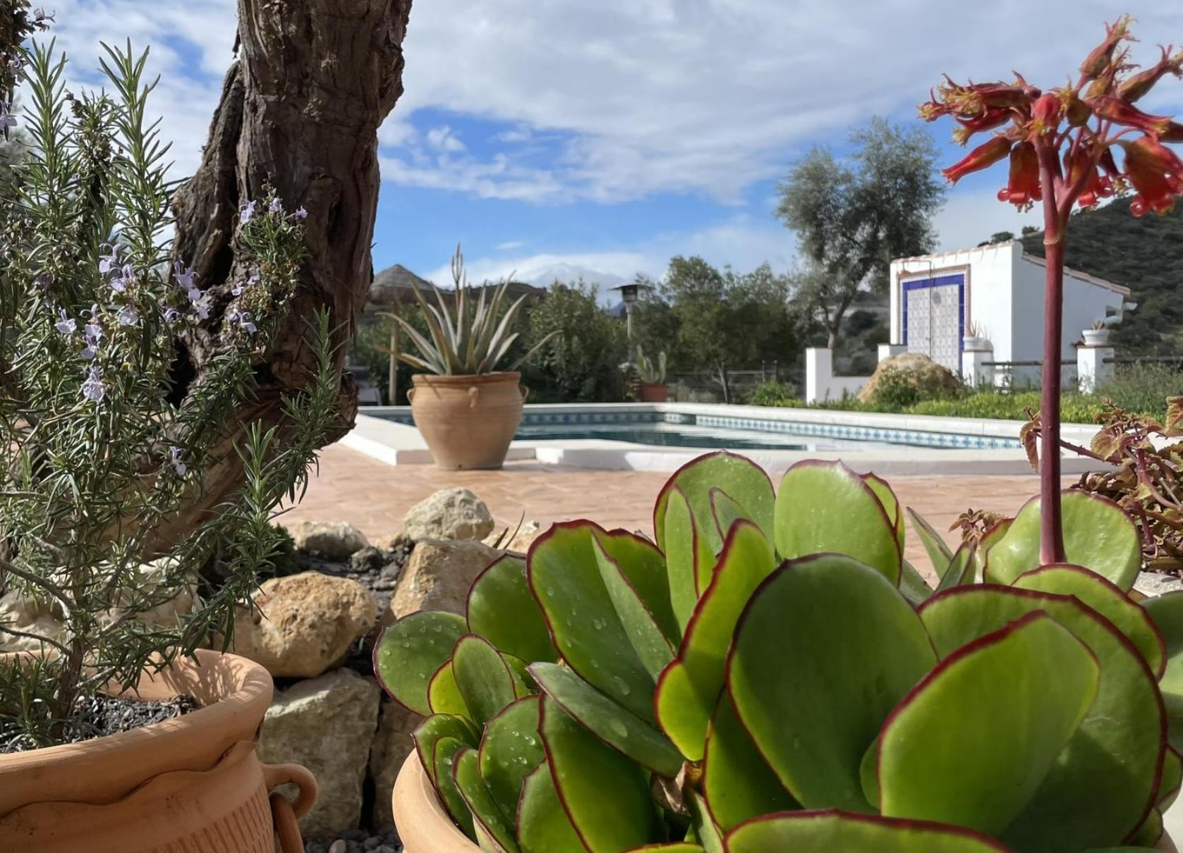 Finca Valle Verde Alora Exterior foto